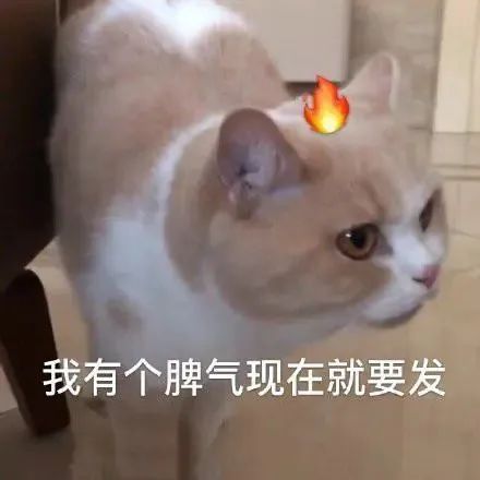 DƬ